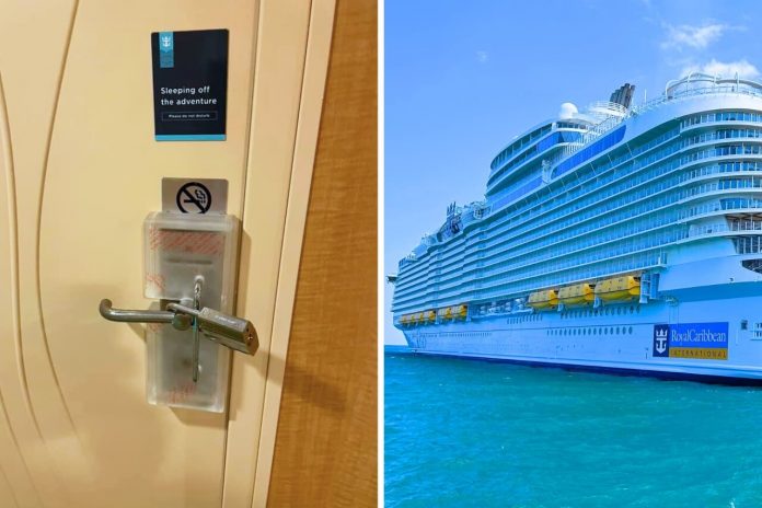 cruise security