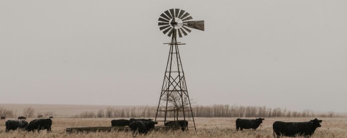 15 Fun Facts About Kansas