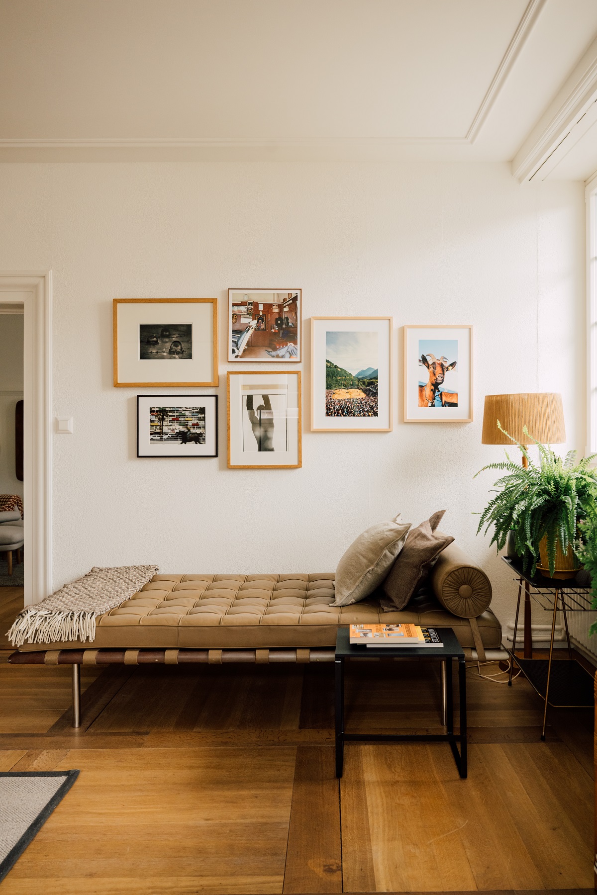 day bed and plant under gallery wall in OXEN