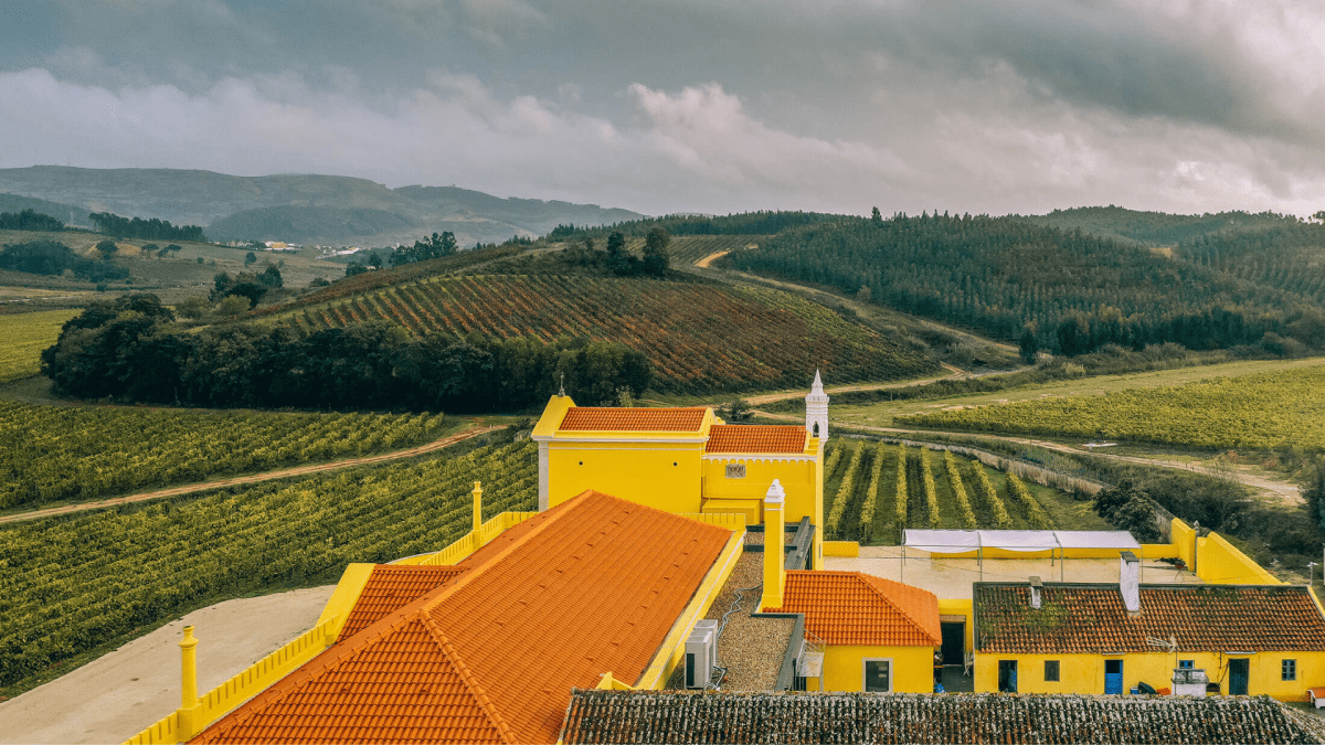 Escapes From Lisbon to Alentejo &...
