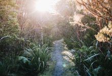 How the Heaphy Track become my new favorite Great Walk