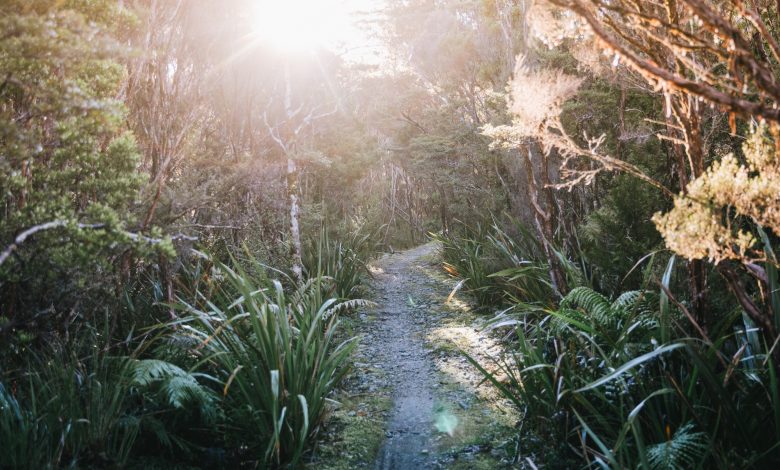 How the Heaphy Track become my new favorite Great Walk