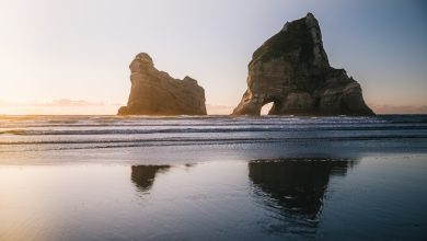 Takaka: a golden getaway to Golden Bay
