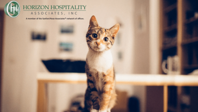 The Gen Z Stare? Cohesion Strategies for Multigenerational Hospitality Teams