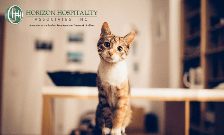 The Gen Z Stare? Cohesion Strategies for Multigenerational Hospitality Teams