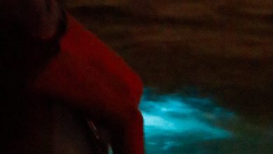 Florida’s #1 Bioluminescence Kayak Tours Announce Dark Sky Nights for Labor Day Weekend
