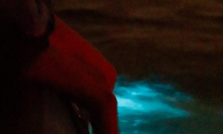 Florida’s #1 Bioluminescence Kayak Tours Announce Dark Sky Nights for Labor Day Weekend