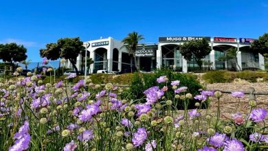 Your Neighbourhood Guide To Milnerton