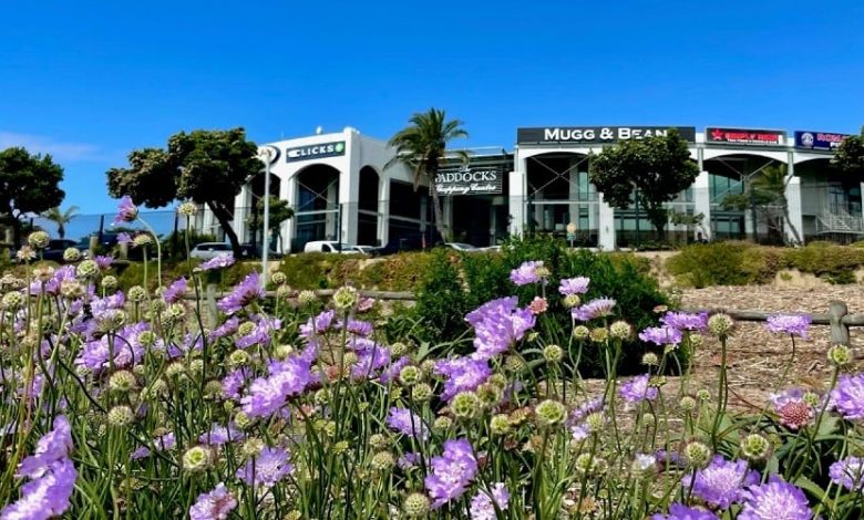 Your Neighbourhood Guide To Milnerton