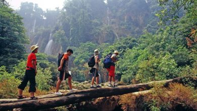 What type of Thailand traveller are you? – Amazing Thailand