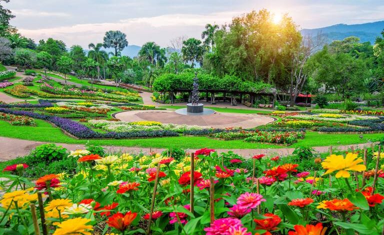 Essential Travel Tips for an Unforgettable Experience