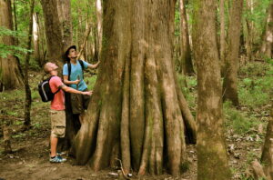 14 Parks to Explore In Honor Of National Park and Recreation Month