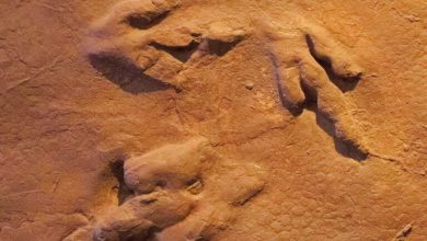Uncovering Prehistoric Wonders in Greater Zion