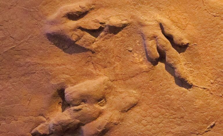 Uncovering Prehistoric Wonders in Greater Zion