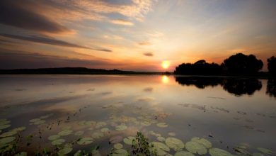 Top End Dry Season Tours