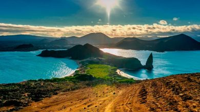 Galapagos Island Tours: Unforgettable Experiences in Ecuador’s Paradise