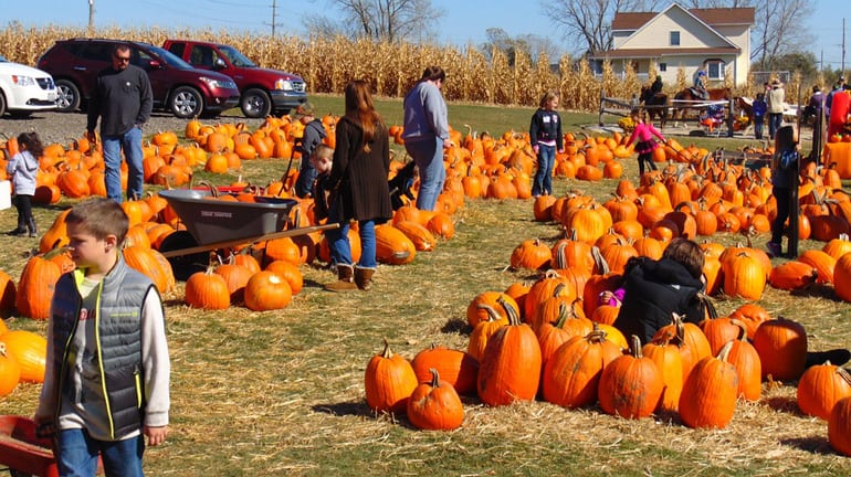 Ultimate Guide to Fall Festivities in Montgomery County
