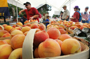 Show your “ap(peach)iation” on National Eat a Peach Day!