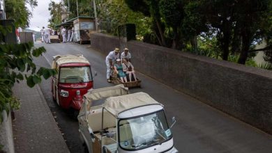 25 Best Things To Do in Madeira, Portugal (2025 Guide)