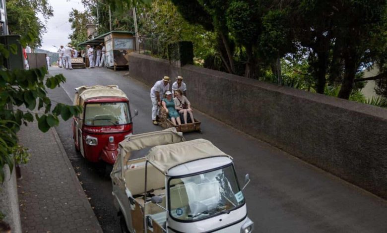 25 Best Things To Do in Madeira, Portugal (2025 Guide) 25 Best Things To Do in Madeira, Portugal (2025 Guide)