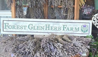 Experience Agri-Tourism Along Ontario’s Blue Coast