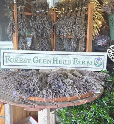 Experience Agri-Tourism Along Ontario’s Blue Coast