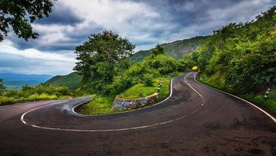 Mysore To Otty DIstance, Routes, Transport Options, Nearby Attractions – Iris Holidays